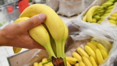 صنعاء نيوز - 
أعلنت الدكتورة تاتيانا رازوموفسكايا، خبيرة التغذية الروسية، أن تناول الموز قد يشكل خطورة لمن يعاني من مشكلات صحية في الجهاز الهضمي.
