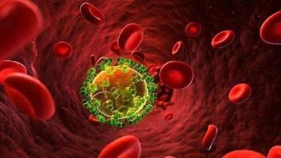 صنعاء نيوز - 
وجدت دراسة لعينات براز ودم قديمة أن الرجال الذين لديهم مستويات عالية من البكتيريا المسببة للالتهابات في الأمعاء قد يكونون أكثر عرضة للإصابة بفيروس نقص المناعة البشرية.