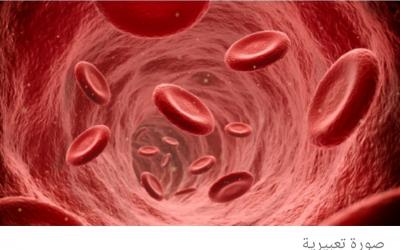صنعاء نيوز - يمكن أن يؤدي استهلاك الزيوت المهدرجة إلى زيادة خطر الإصابة بجلطات الدم الضارة، وفقا لاختصاصية في التغذية